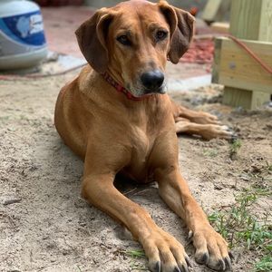 Meet your Posher, Anna loren